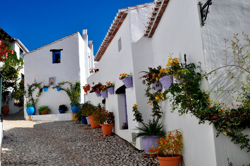 AxarquíaMeGusta Servicios Residenciales